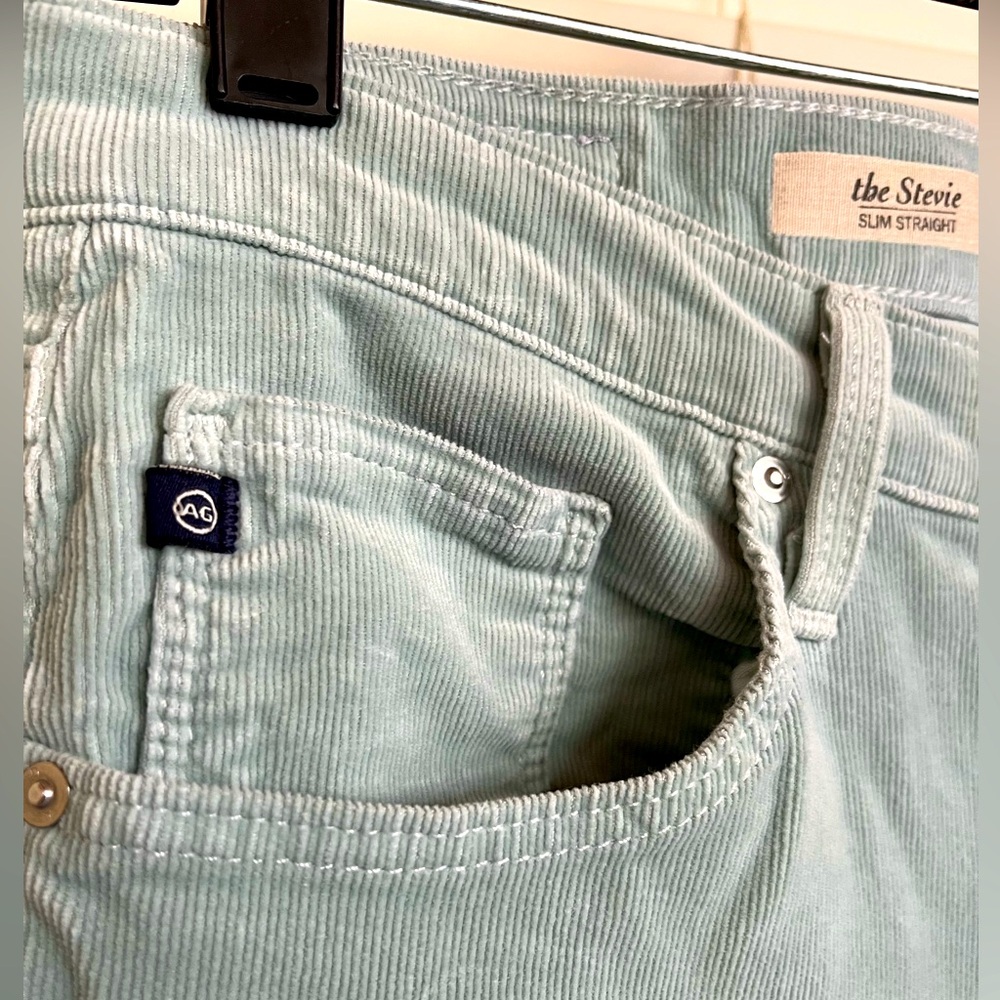 AG the Stevie Slim Straight Jeans 29R